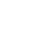 icon-park_target